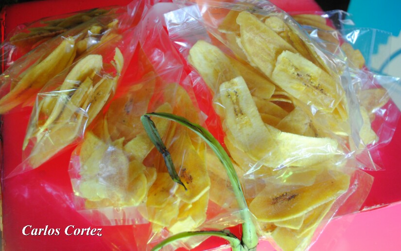 pLATANO2